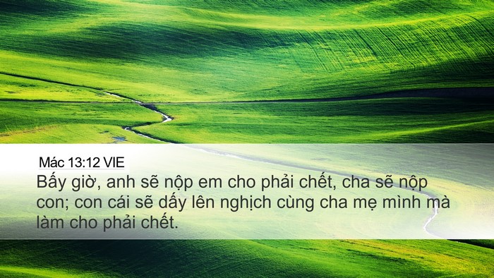 Mác 13:12 VIE Bible Verse Image