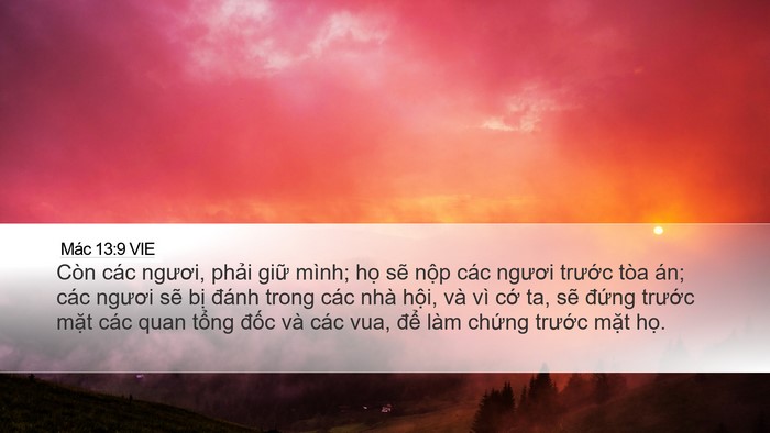Mác 13:9 VIE Bible Verse Image