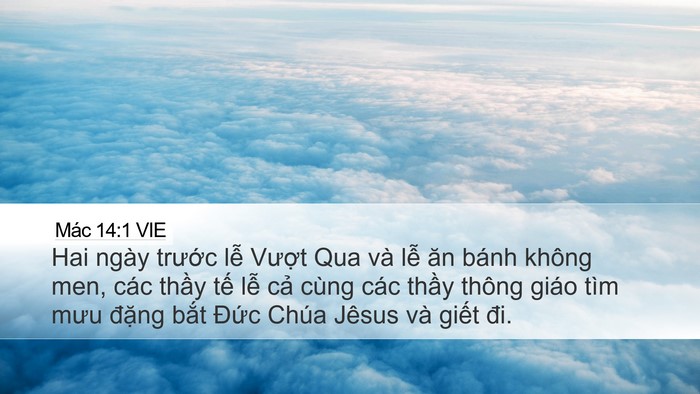 Mác 14:1 VIE Bible Verse Image