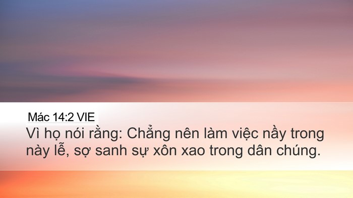 Mác 14:2 VIE Bible Verse Image
