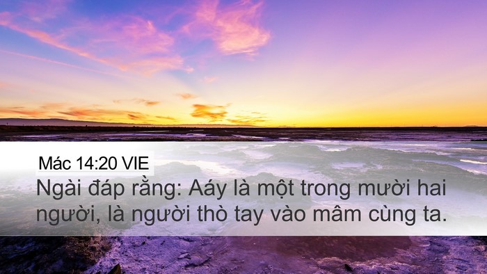 Mác 14:20 VIE Bible Verse Image