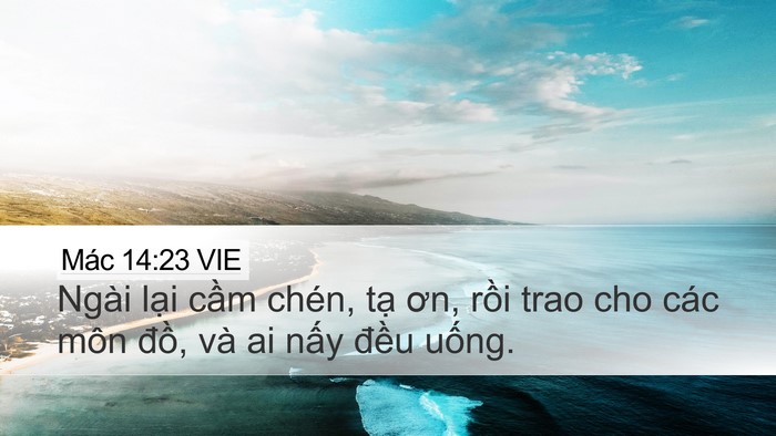 Mác 14:23 VIE Bible Verse Image