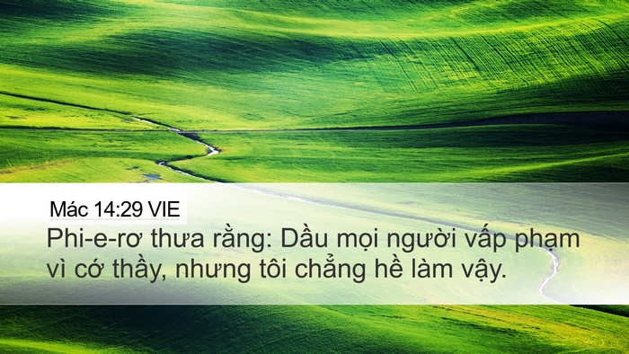 Mác 14:29 VIE Bible Verse Image