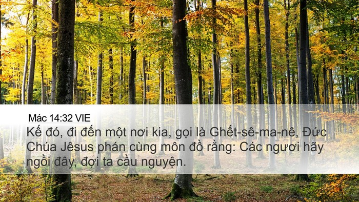 Mác 14:32 VIE Bible Verse Image