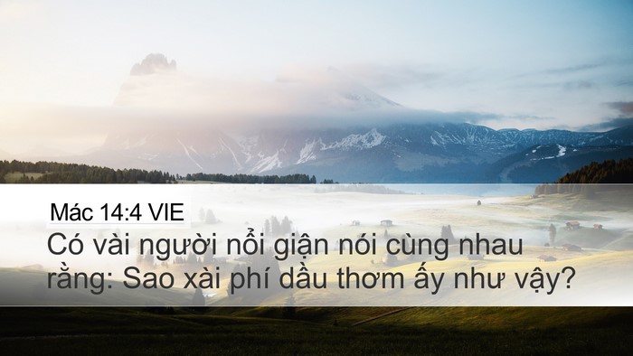 Mác 14:4 VIE Bible Verse Image