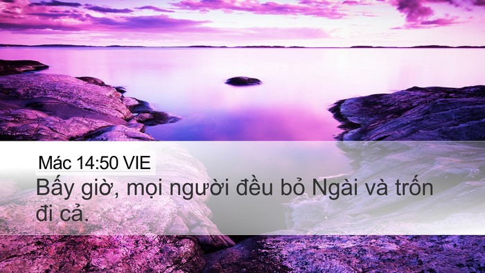 Mác 14:50 VIE Bible Verse Image