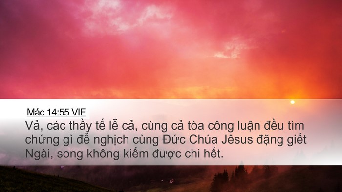 Mác 14:55 VIE Bible Verse Image