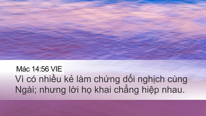 Mác 14:56 VIE Bible Verse Image