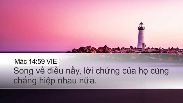 Mác 14:59 VIE Desktop Wallpaper - Song về điều nầy, lời chứng của họ - Desktop Bible Verse Wallpaper