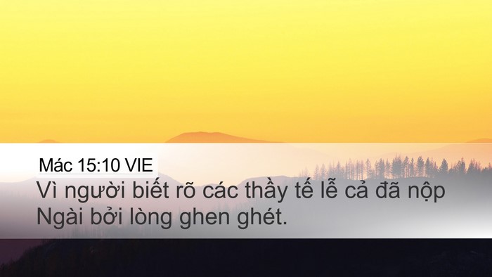 Mác 15:10 VIE Bible Verse Image