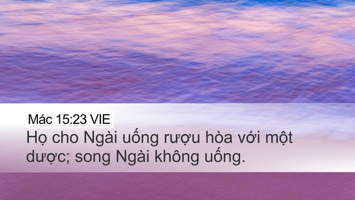 Mác 15:23 VIE Bible Verse Image