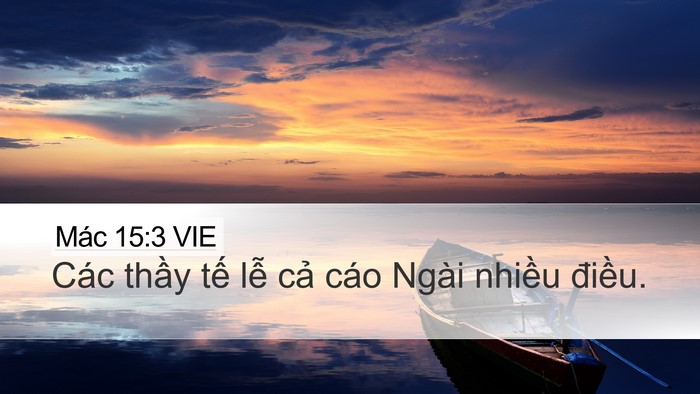Mác 15:3 VIE Bible Verse Image
