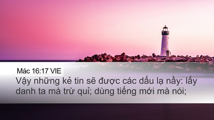 Mác 16:17 VIE Bible Verse Image