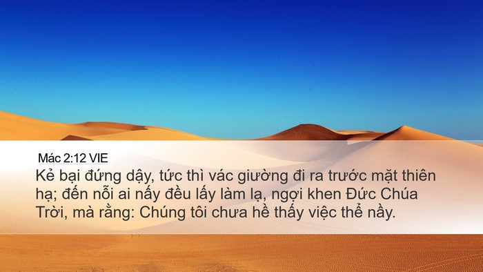Mác 2:12 VIE Bible Verse Image