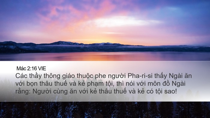 Mác 2:16 VIE Bible Verse Image
