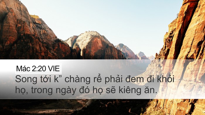 Mác 2:20 VIE Desktop Wallpaper - Song tới k” chàng rể phải đem đi - Desktop Bible Verse Wallpaper