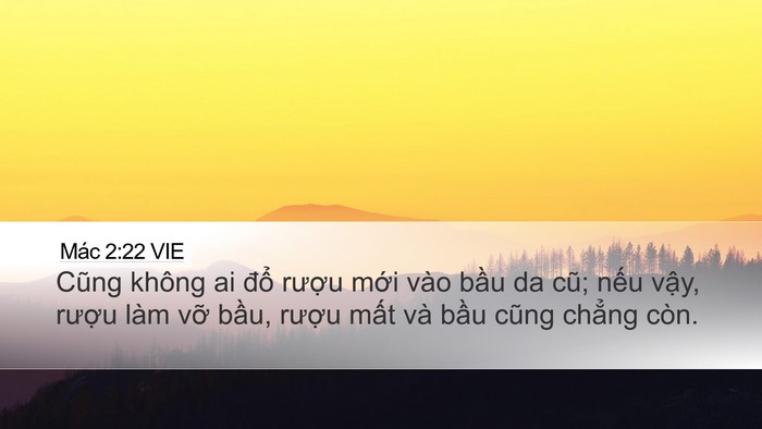 Mác 2:22 VIE Bible Verse Image
