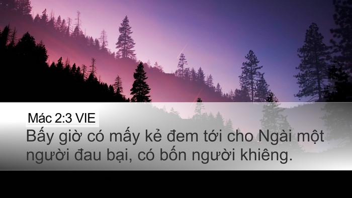 Mác 2:3 VIE Bible Verse Image