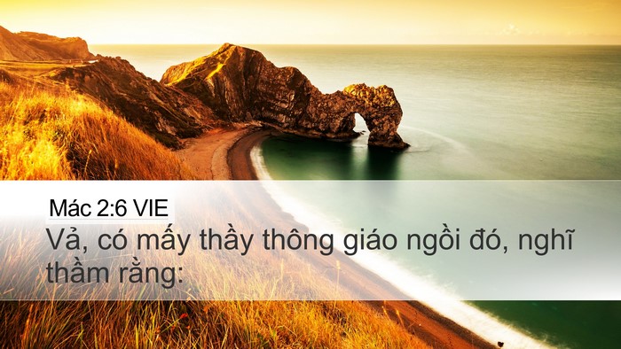 Mác 2:6 VIE Bible Verse Image