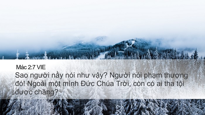 Mác 2:7 VIE Bible Verse Image