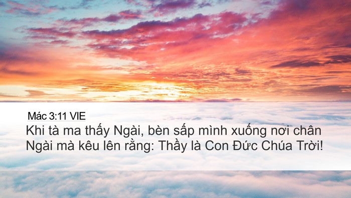 Mác 3:11 VIE Bible Verse Image