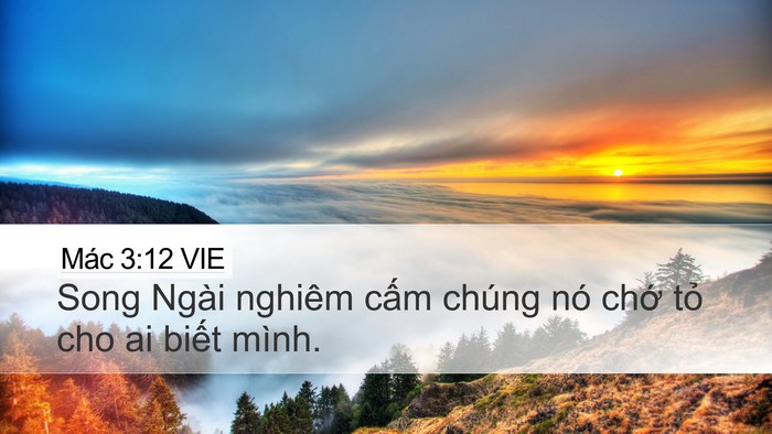 Mác 3:12 VIE Desktop Wallpaper - Song Ngài nghiêm cấm chúng nó chớ tỏ - Desktop Bible Verse Wallpaper