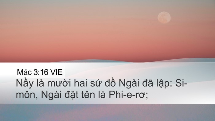 Mác 3:16 VIE Bible Verse Image