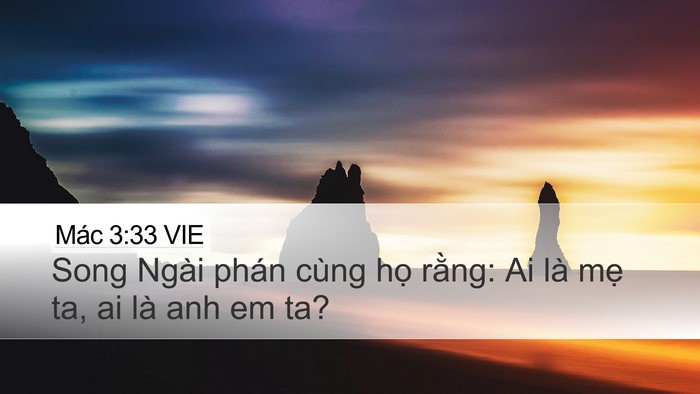 Mác 3:33 VIE Bible Verse Image