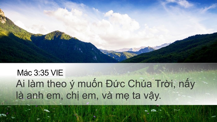 Mác 3:35 VIE Bible Verse Image