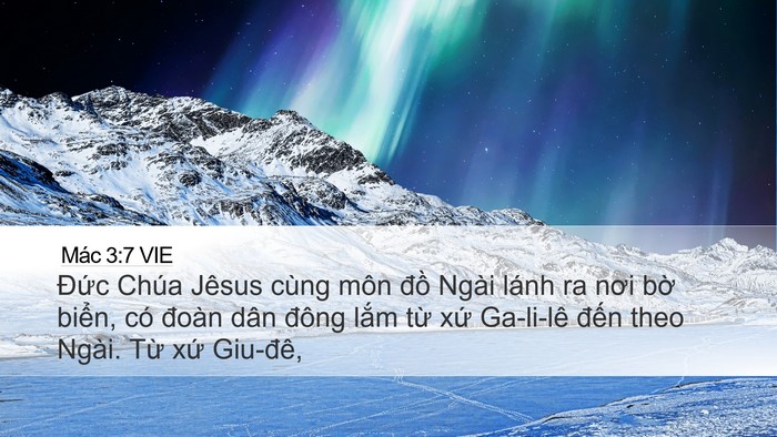 Mác 3:7 VIE Bible Verse Image