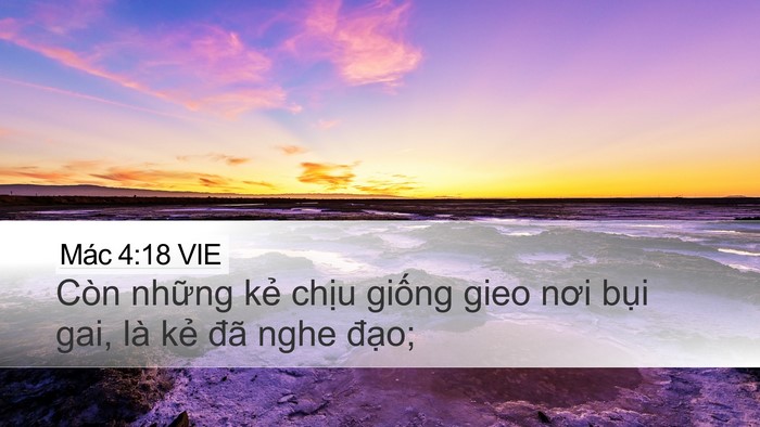 Mác 4:18 VIE Bible Verse Image