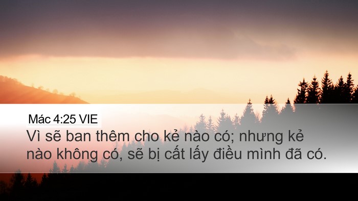 Mác 4:25 VIE Bible Verse Image