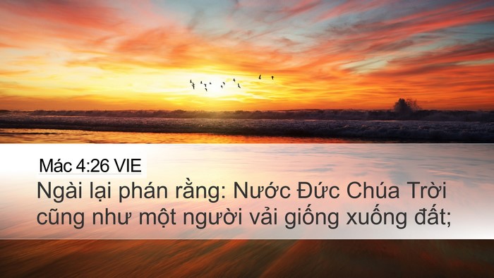 Mác 4:26 VIE Bible Verse Image