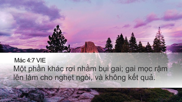 Mác 4:7 VIE Bible Verse Image