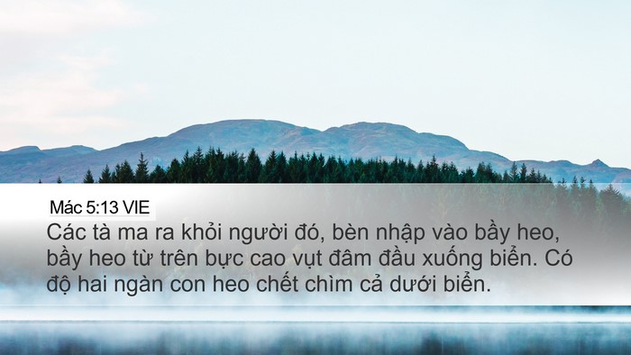Mác 5:13 VIE Bible Verse Image