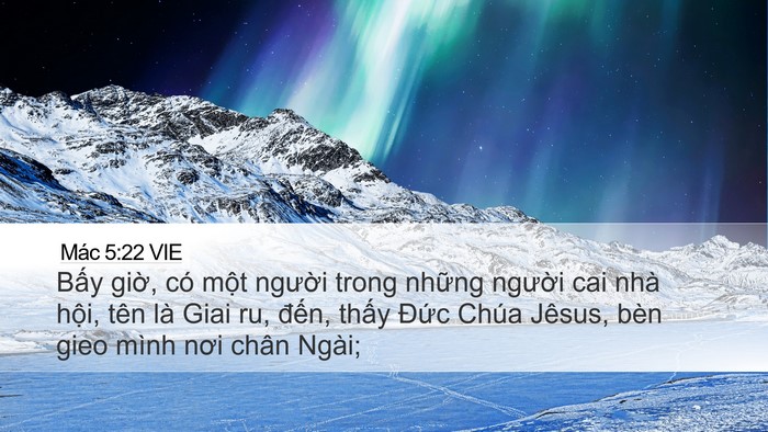 Mác 5:22 VIE Bible Verse Image