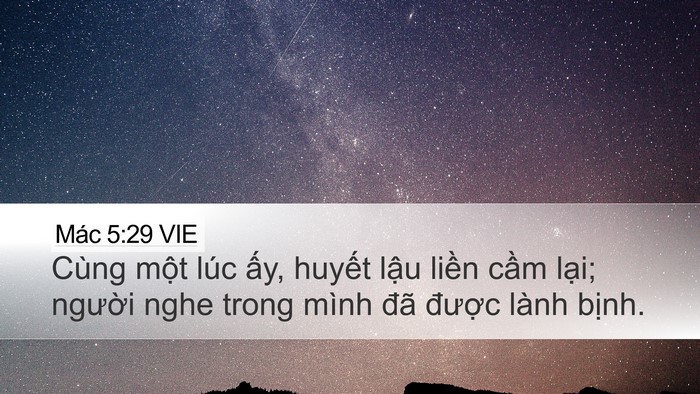 Mác 5:29 VIE Bible Verse Image