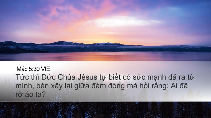 Mác 5:30 VIE Bible Verse Image
