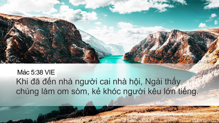Mác 5:38 VIE Bible Verse Image