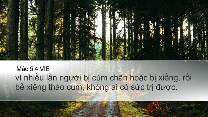 Mác 5:4 VIE Bible Verse Image