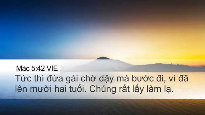 Mác 5:42 VIE Bible Verse Image
