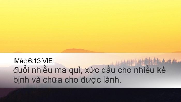 Mác 6:13 VIE Bible Verse Image