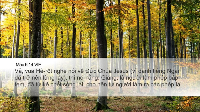 Mác 6:14 VIE Bible Verse Image