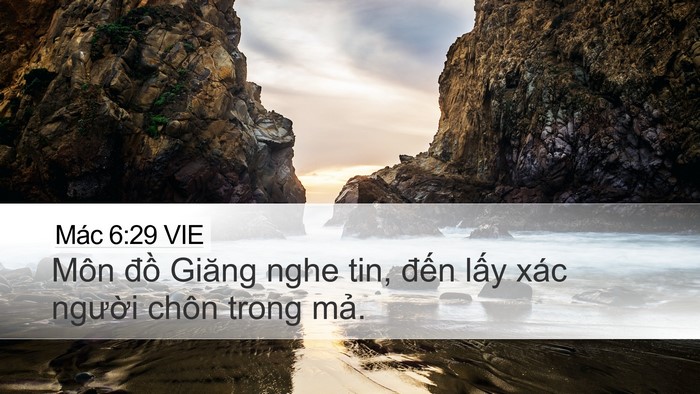 Mác 6:29 VIE Desktop Wallpaper - Môn đồ Giăng nghe tin, đến lấy xác - Desktop Bible Verse Wallpaper