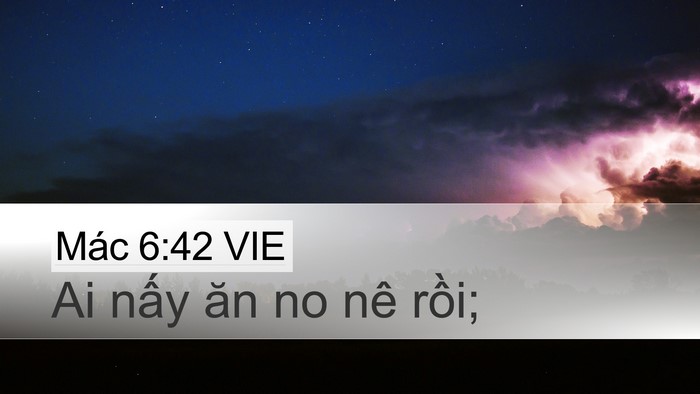 Mác 6:42 VIE Bible Verse Image