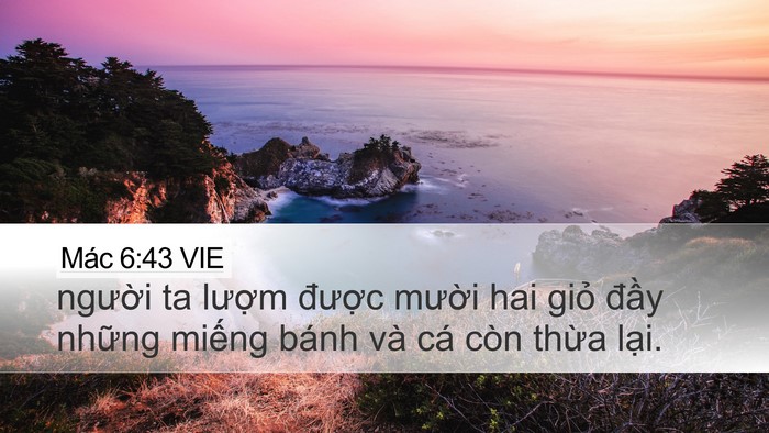 Mác 6:43 VIE Desktop Wallpaper - người ta lượm được mười hai giỏ - Desktop Bible Verse Wallpaper