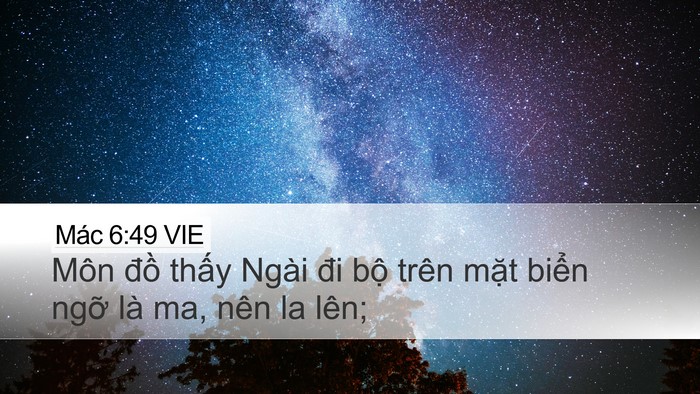 Mác 6:49 VIE Bible Verse Image