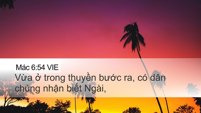 Mác 6:54 VIE Bible Verse Image