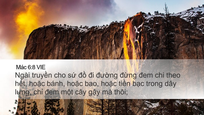 Mác 6:8 VIE Bible Verse Image
