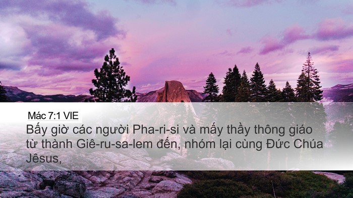 Mác 7:1 VIE Bible Verse Image